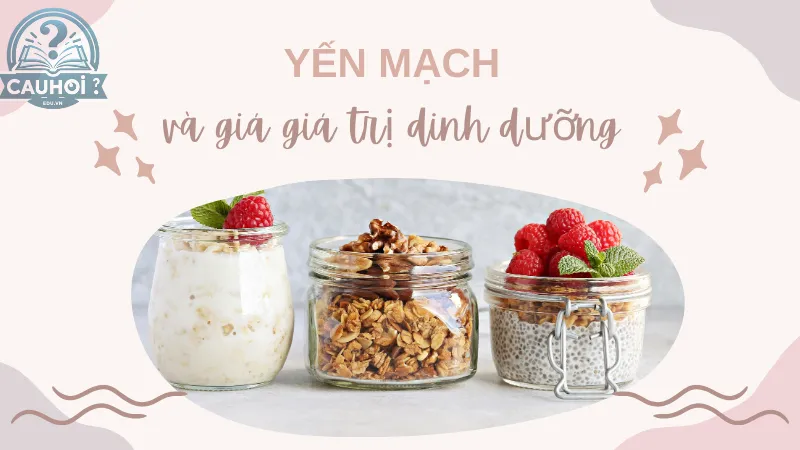 Yến mạch và giá giá trị dinh dưỡng