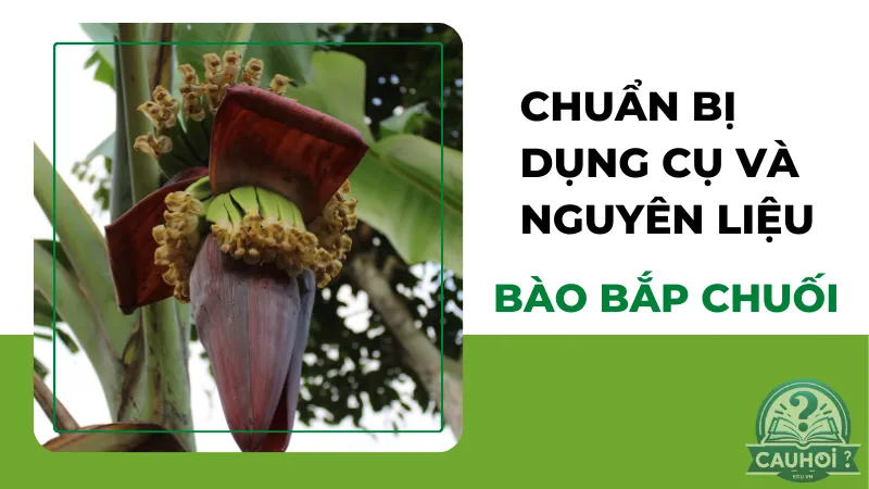 Chuẩn bị dụng cụ và nguyên liệu bào bắp chuối