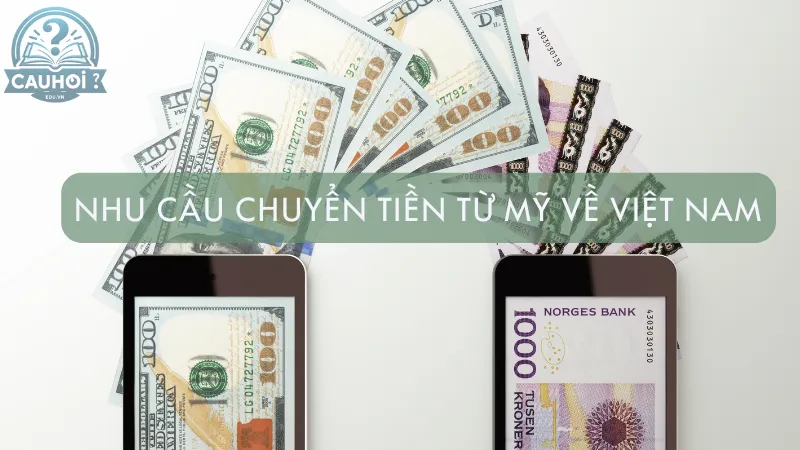 Nhu cầu chuyển tiền từ Mỹ về Việt Nam