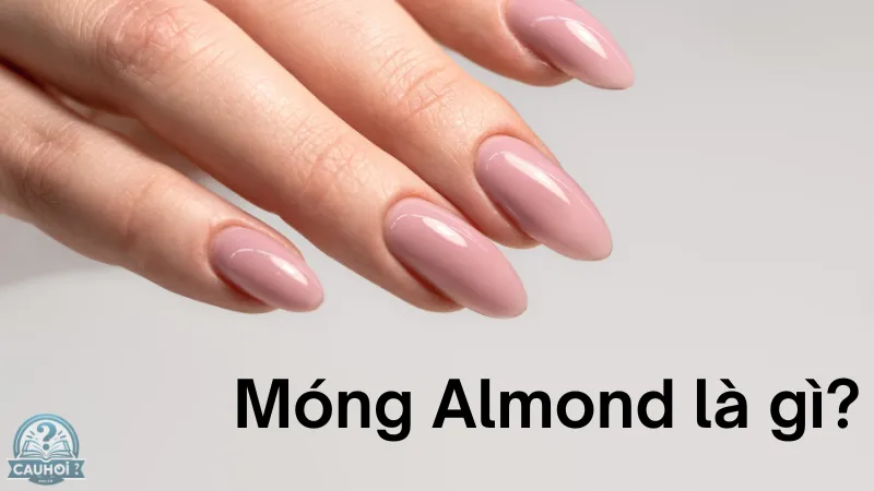 Móng almond là gì?