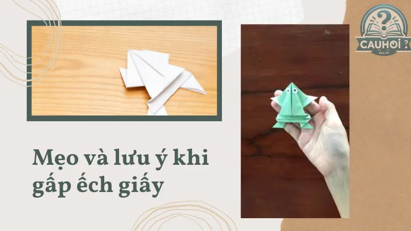 Mẹo và lưu ý khi gấp ếch giấy