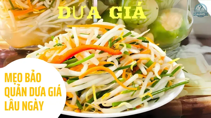 Mẹo bảo quản dưa giá lâu ngày