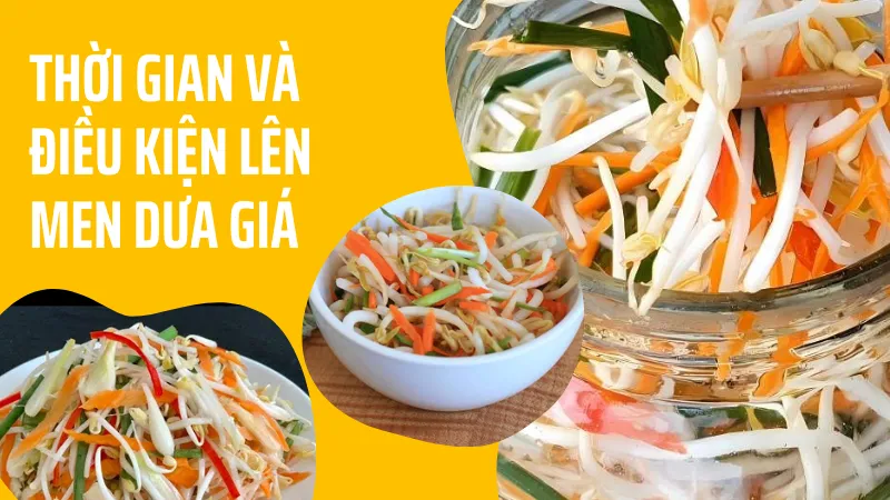 Thời gian và điều kiện lên men dưa giá