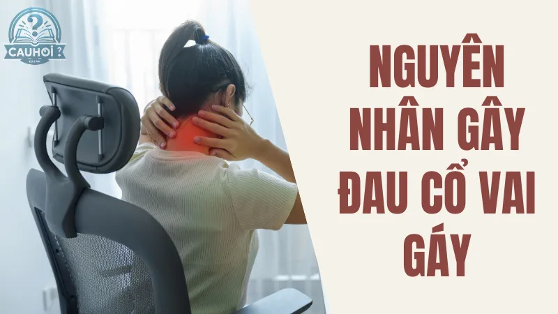 Nguyên nhân gây đau cổ vai gáy