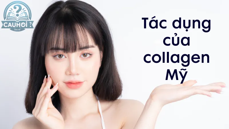 Tác dụng của collagen Mỹ