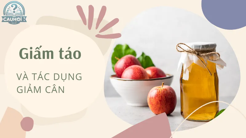 Giấm táo và tác dụng giảm cân