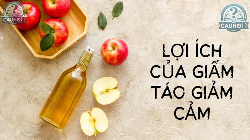 Lợi ích của giấm táo giảm cảm