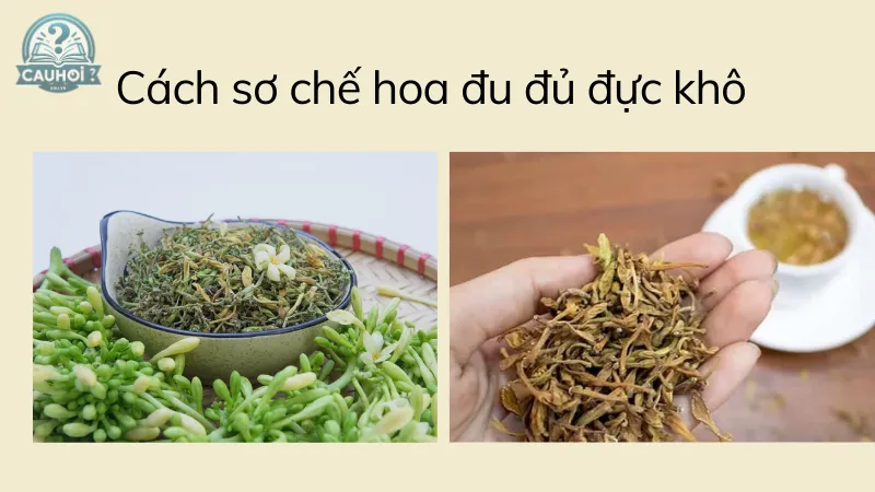 Cách sơ chế hoa đu đủ đực khô