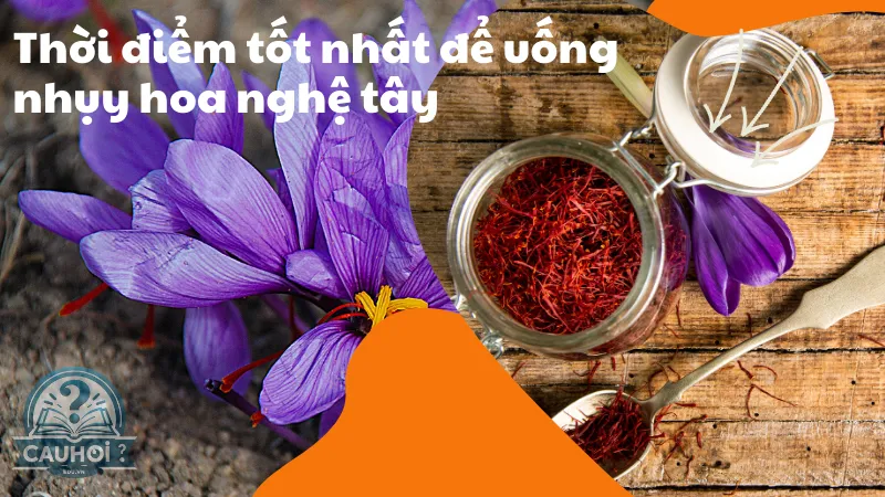 Thời điểm tốt nhất để uống nhụy hoa nghệ tây