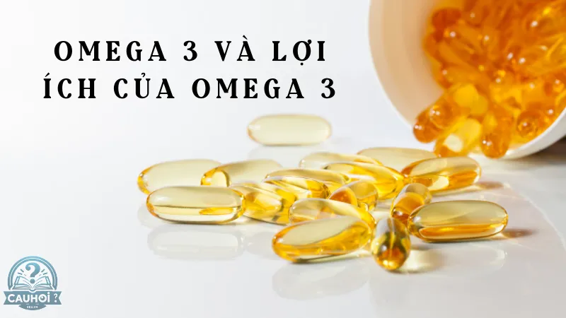 Omega 3 và lợi ích của Omega 3