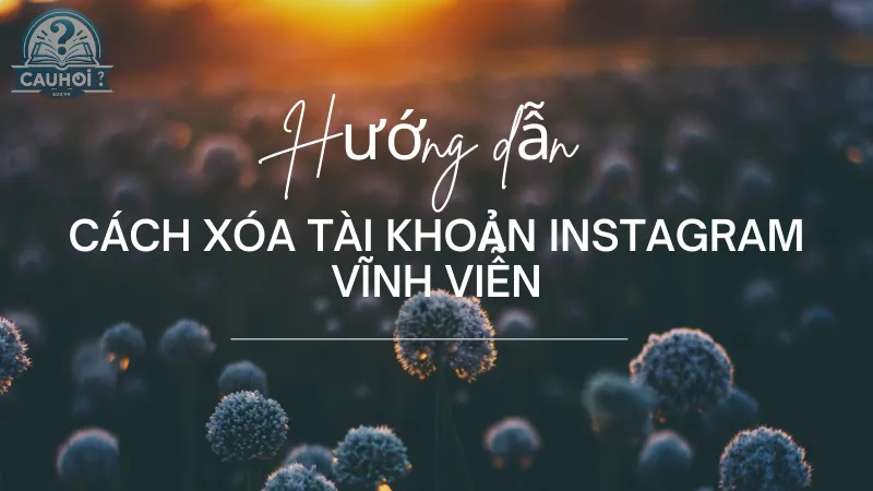 Hướng dẫn cách xóa tài khoản Instagram vĩnh viễn