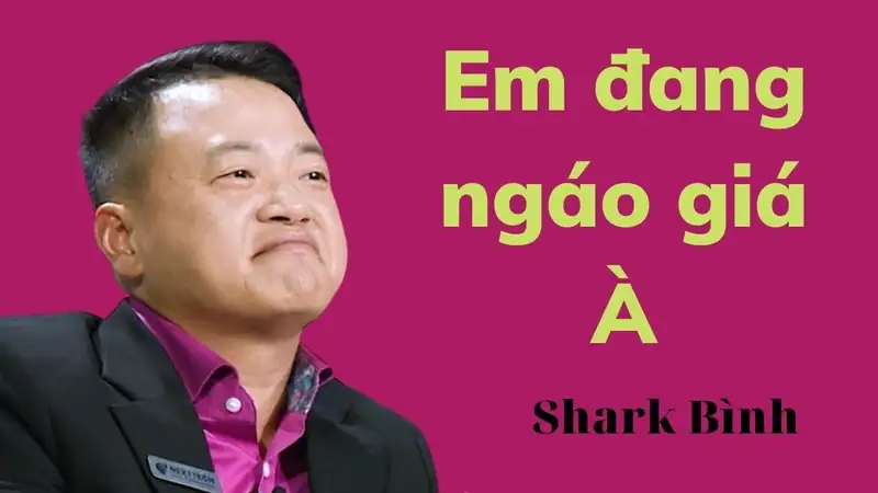 Sự nghiệp shark Nguyễn Hòa Bình 2