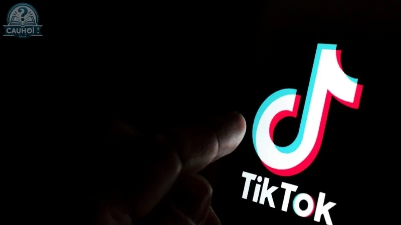 Hướng dẫn chi tiết tải video tiktok bằng snaptik không dính watermark
