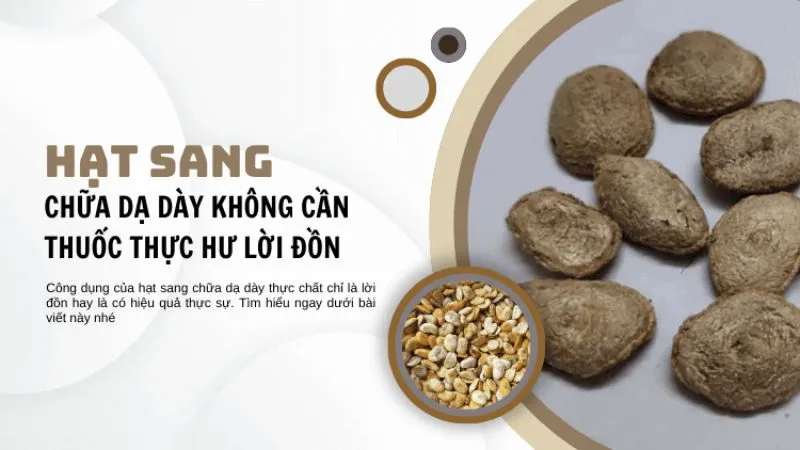 Công dụng của hạt sang 2