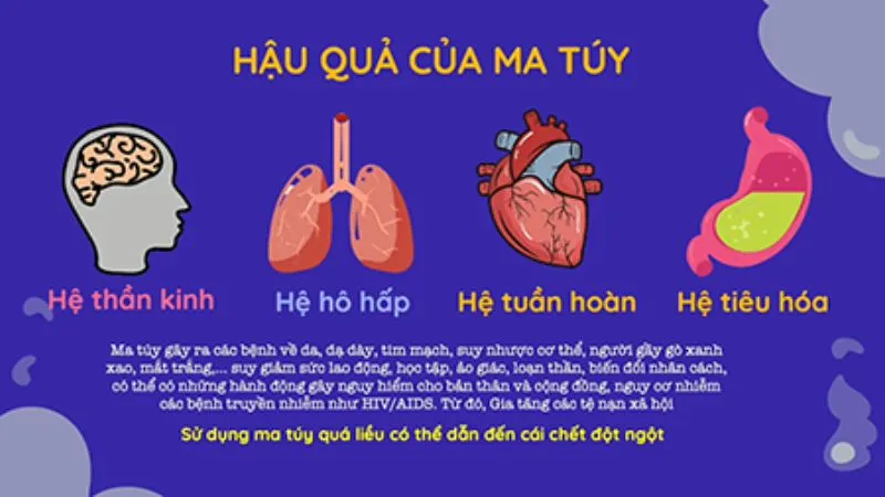 Tác hại của ma túy đá đối với sức khỏe con người 3