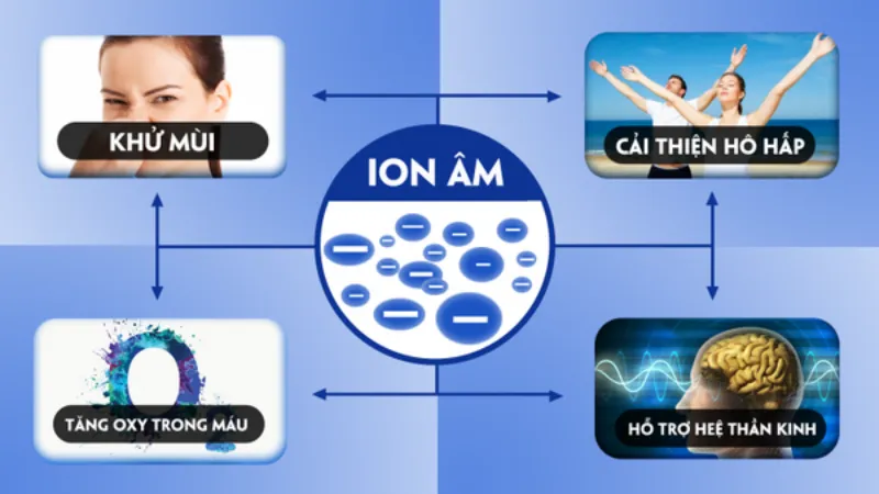 Máy tạo ion âm 2