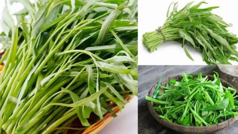 Lợi ích của rau muống 