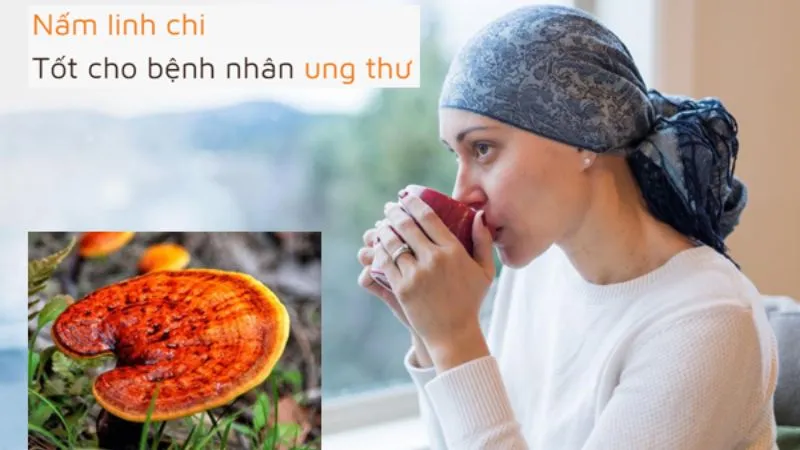 Những lợi ích của nấm linh chi 