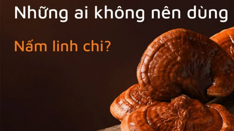 Đối tượng cần thận trọng khi sử dụng nấm linh chi