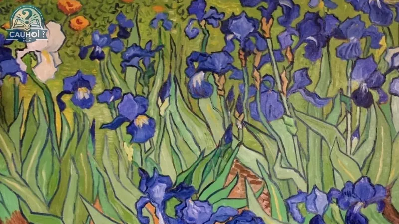 Hoa diên vĩ (Irises)