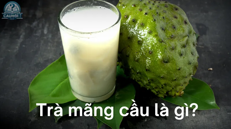 Trà mãng cầu là gì?