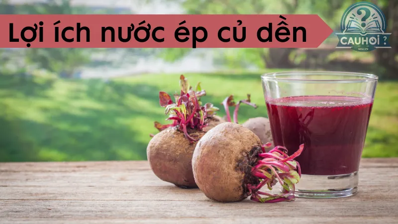 Lợi ích của nước ép củ dền