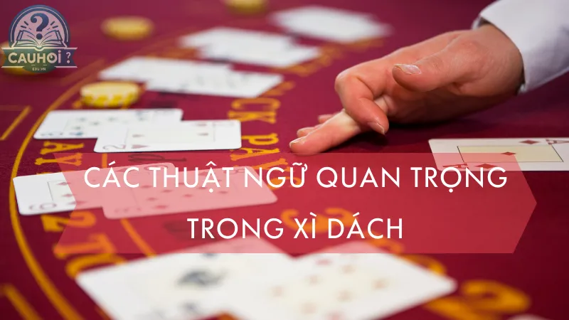 Các thuật ngữ quan trọng trong Xì Dách