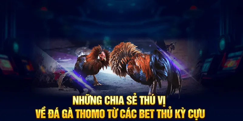 Lợi ích khi tham gia đá gà tại 789WIN