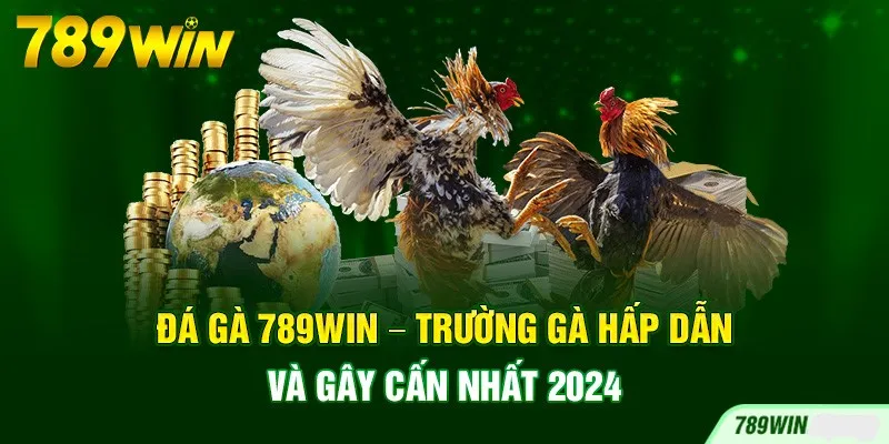 Các loại hình đá gà tại 789win mà bạn không thể bỏ qua