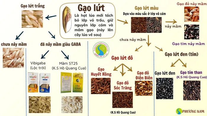 tác hại của gạo lứt 1