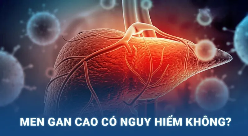 Tác hại của men gan cao 1