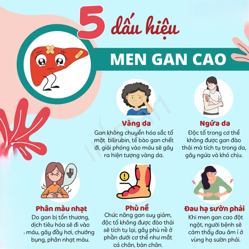 Tác hại của men gan cao 4