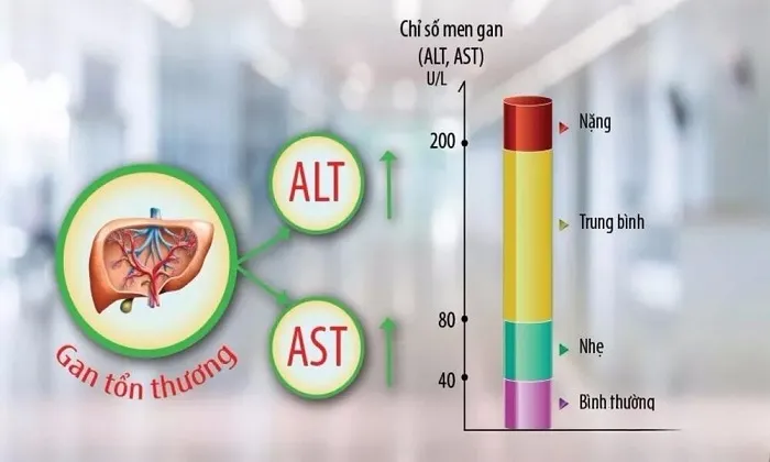 Tác hại của men gan cao 6