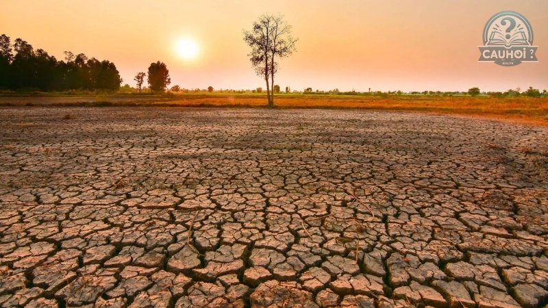 El nino là gì 02