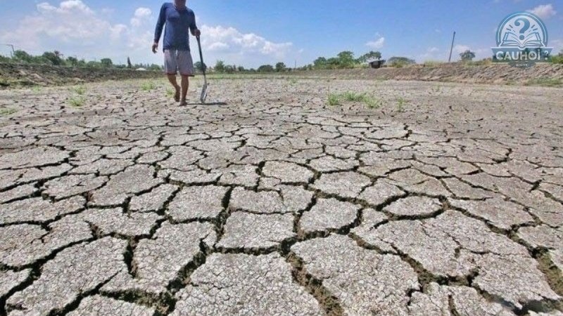 El nino là gì 03