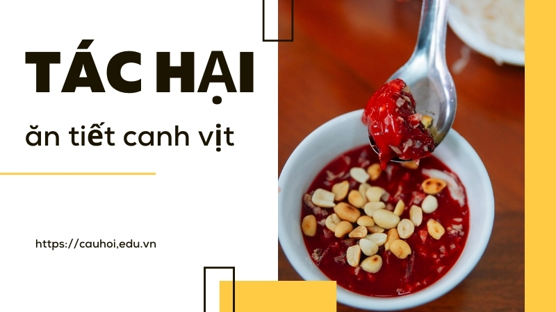 Tác hại ăn tiết canh vịt - Lời cảnh báo từ các bác sĩ