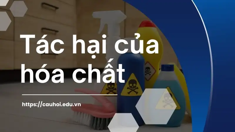 Tác hại của hóa chất đối với sức khỏe - Những điều bạn cần biết