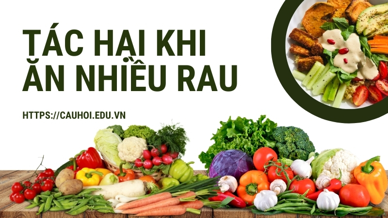 Tác hại khi ăn nhiều rau - Những điều bạn cần biết