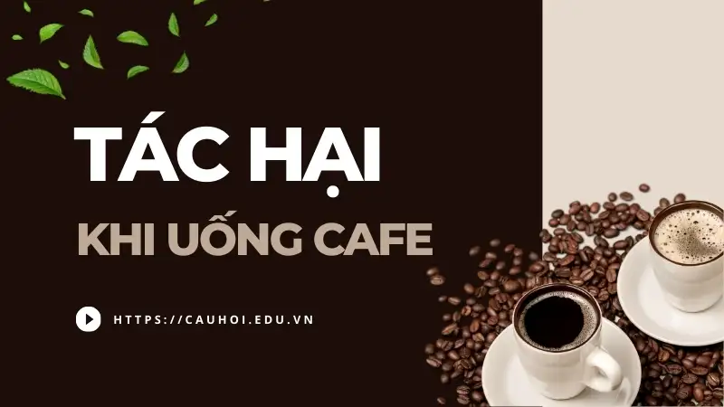 Tác hại khi uống Cafe - Nguy cơ tiềm ẩn cho sức khỏe