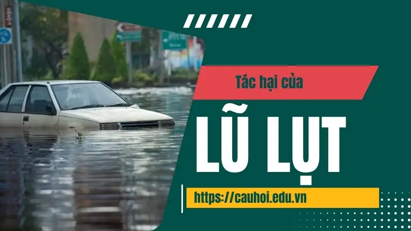 Tác hại lũ lụt - Cảnh báo nguy cơ cho các thành phố lớn