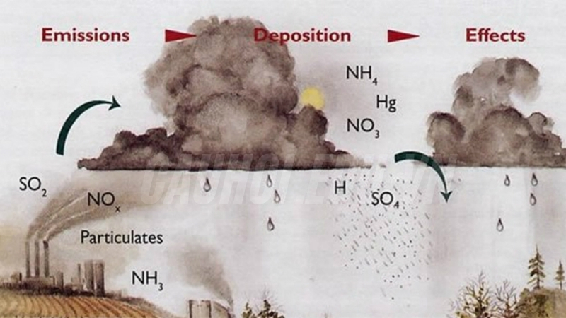 Mưa axit là gì?