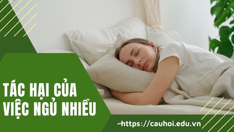 Tác hại ngủ nhiều – Những điều bạn cần biết để tránh