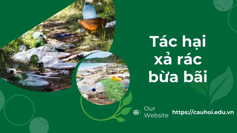 Tác hại xả rác bừa bãi - Nguyên nhân gây ô nhiễm môi trường